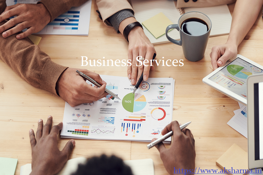 Business advisory service in delhi NCR
